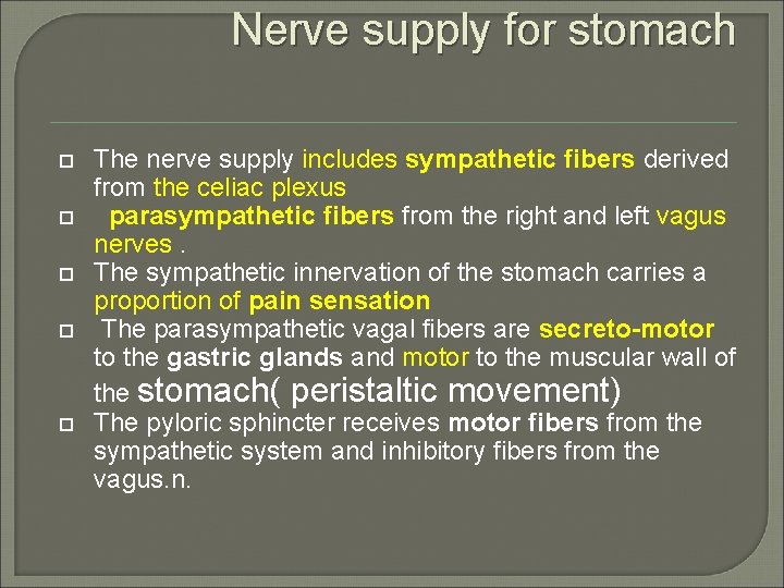 Nerve supply for stomach The nerve supply includes sympathetic fibers derived from the celiac
