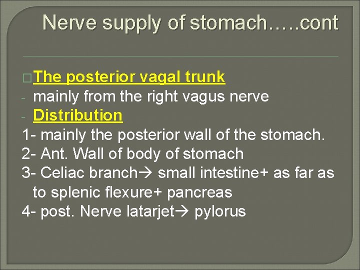 Nerve supply of stomach…. . cont �The posterior vagal trunk - mainly from the