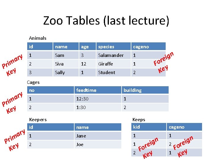 Zoo Tables (last lecture) Animals ary m i r P y Ke ry a