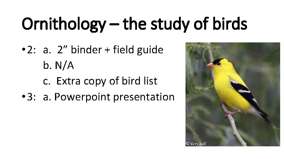 Ornithology – the study of birds • 2: a. 2” binder + field guide