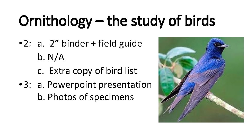 Ornithology – the study of birds • 2: a. 2” binder + field guide