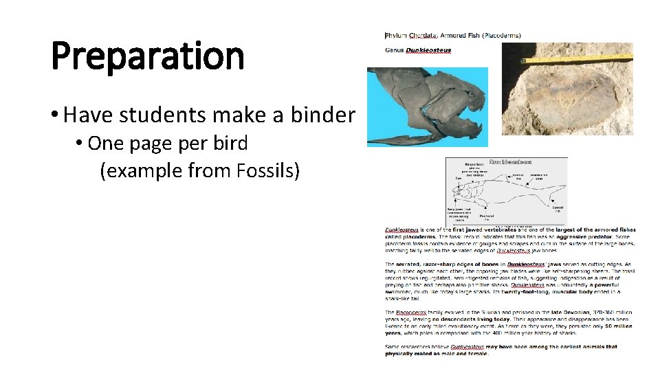 Preparation • Have students make a binder • One page per bird (example from