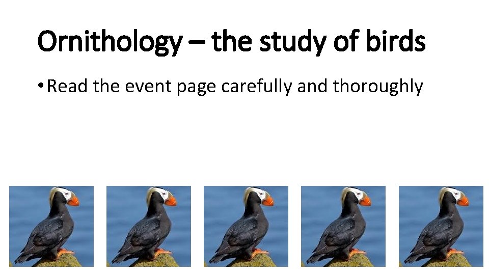 Ornithology – the study of birds • Read the event page carefully and thoroughly