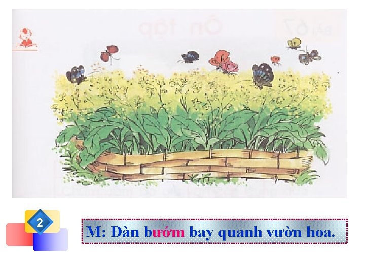 2 M: Đàn bướm bay quanh vườn hoa. 