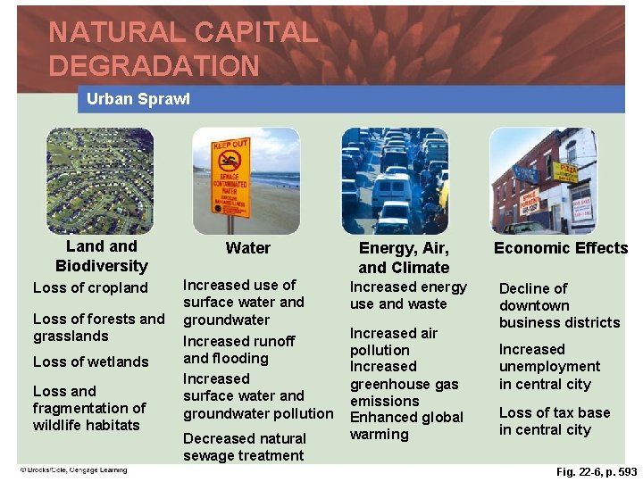 NATURAL CAPITAL DEGRADATION Urban Sprawl Land Biodiversity Loss of cropland Loss of forests and