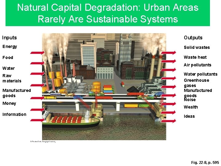 Natural Capital Degradation: Urban Areas Rarely Are Sustainable Systems Inputs Outputs Energy Solid wastes