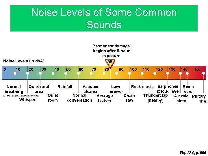 Noise Levels of Some Common Sounds Permanent damage begins after 8 -hour exposure Noise