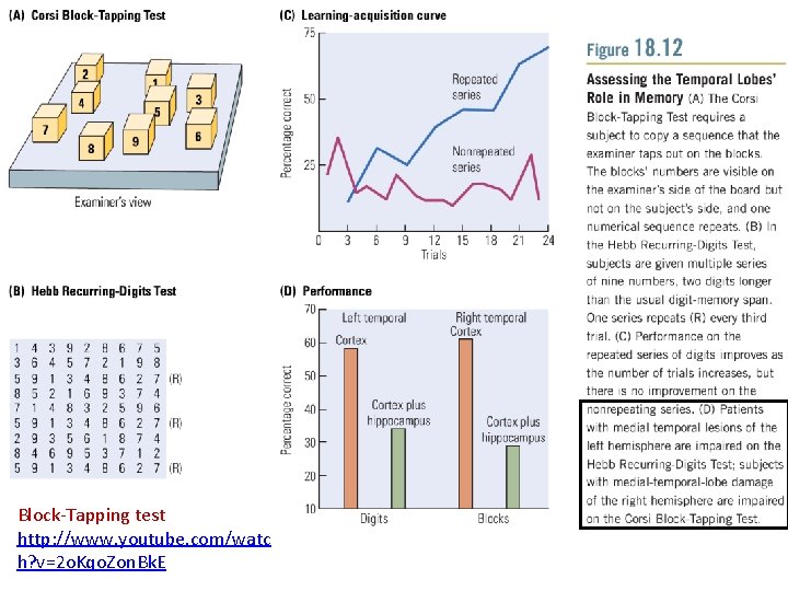 Block-Tapping test http: //www. youtube. com/watc h? v=2 o. Kqo. Zon. Bk. E 