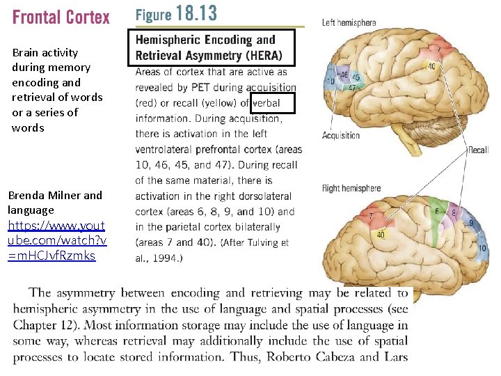 Brain activity during memory encoding and retrieval of words or a series of words