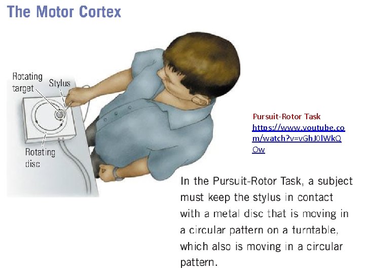 Pursuit-Rotor Task https: //www. youtube. co m/watch? v=v. Gh. J 0 l. Wk. Q