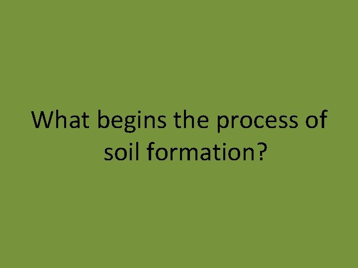 What begins the process of soil formation? 