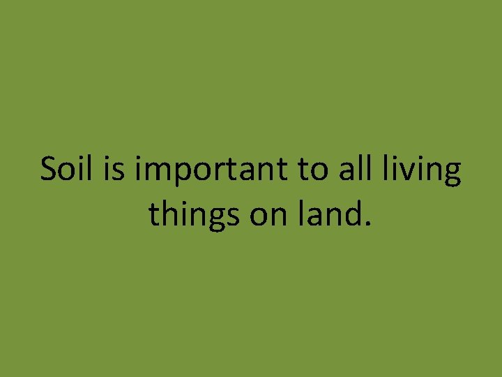 Soil is important to all living things on land. 