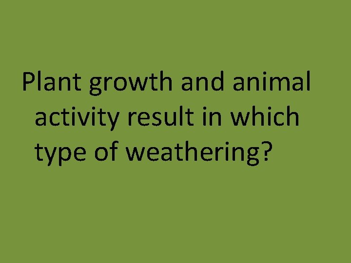 Plant growth and animal activity result in which type of weathering? 