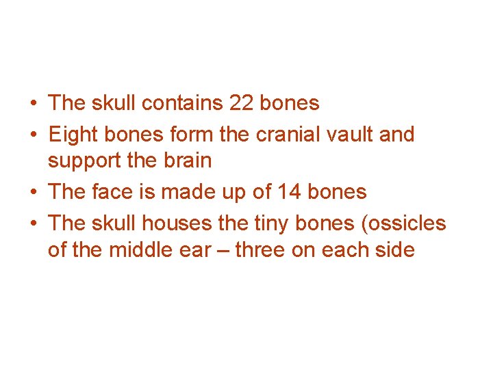  • The skull contains 22 bones • Eight bones form the cranial vault