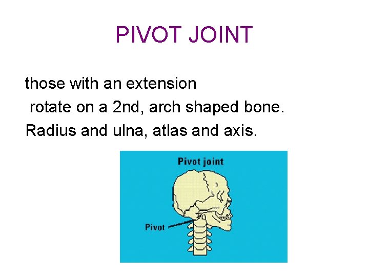 PIVOT JOINT those with an extension rotate on a 2 nd, arch shaped bone.