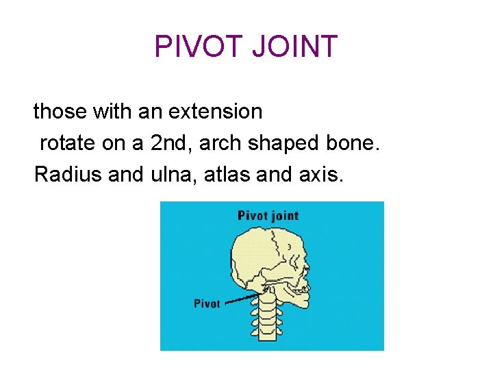 PIVOT JOINT those with an extension rotate on a 2 nd, arch shaped bone. PIVOT JOINT those with an extension rotate on a 2 nd, arch shaped bone.