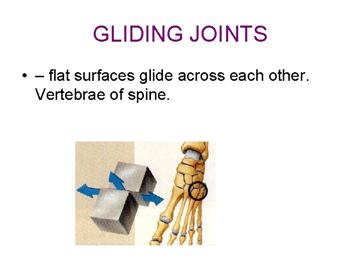 GLIDING JOINTS • – flat surfaces glide across each other. Vertebrae of spine. 