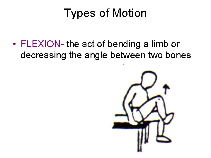 Types of Motion • FLEXION- the act of bending a limb or decreasing the
