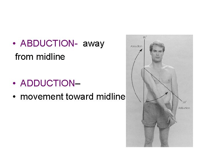  • ABDUCTION- away from midline • ADDUCTION– • movement toward midline 