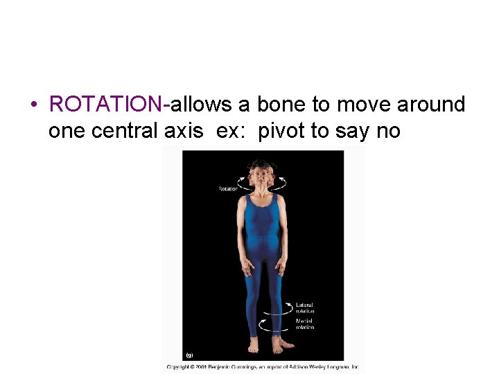  • ROTATION-allows a bone to move around one central axis ex: pivot to