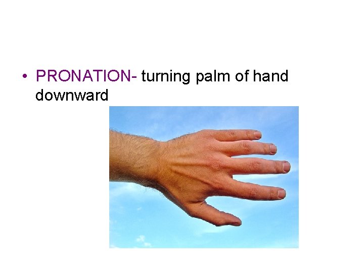  • PRONATION- turning palm of hand downward 