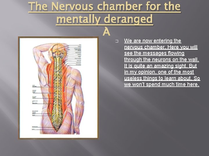 The Nervous chamber for the mentally deranged � We are now entering the nervous