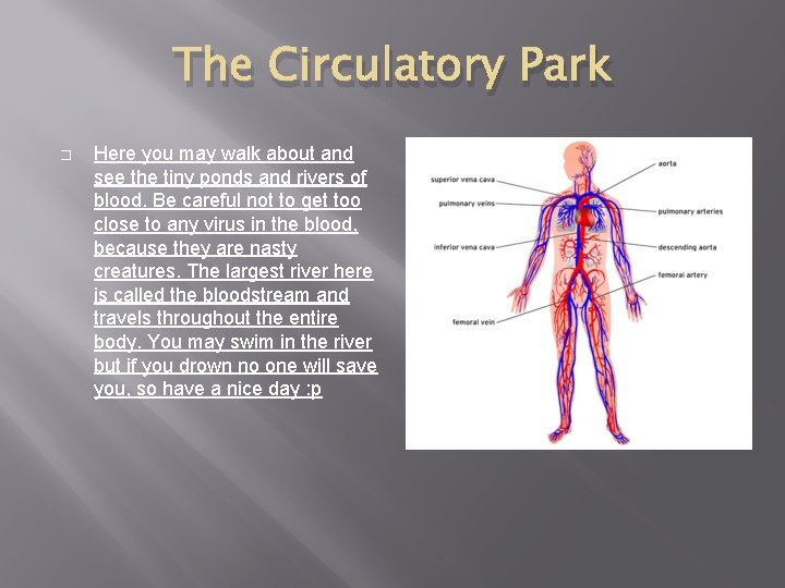 The Circulatory Park � Here you may walk about and see the tiny ponds