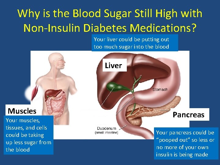Why is the Blood Sugar Still High with Non-Insulin Diabetes Medications? Your liver could