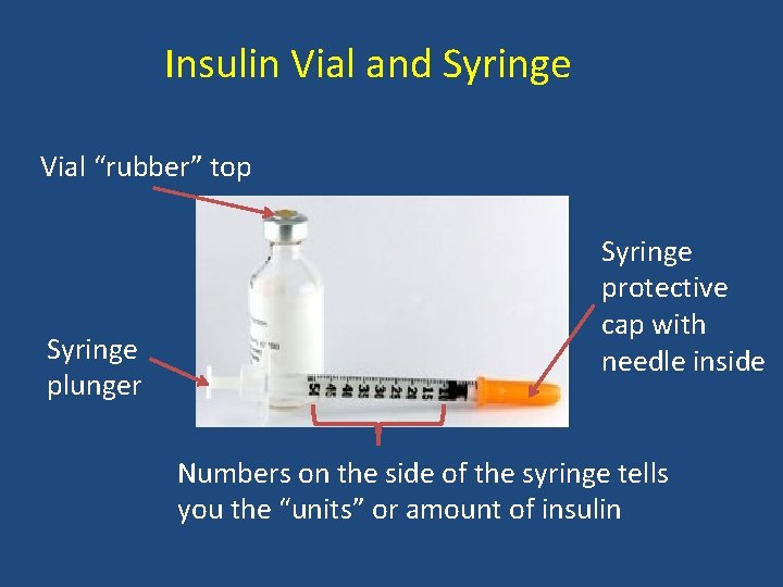 Insulin Vial and Syringe Vial “rubber” top Syringe plunger Syringe protective cap with needle