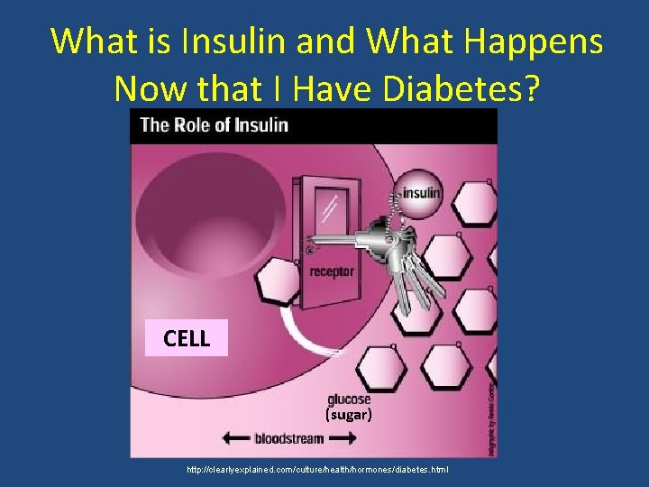 What is Insulin and What Happens Now that I Have Diabetes? CELL (sugar) http: