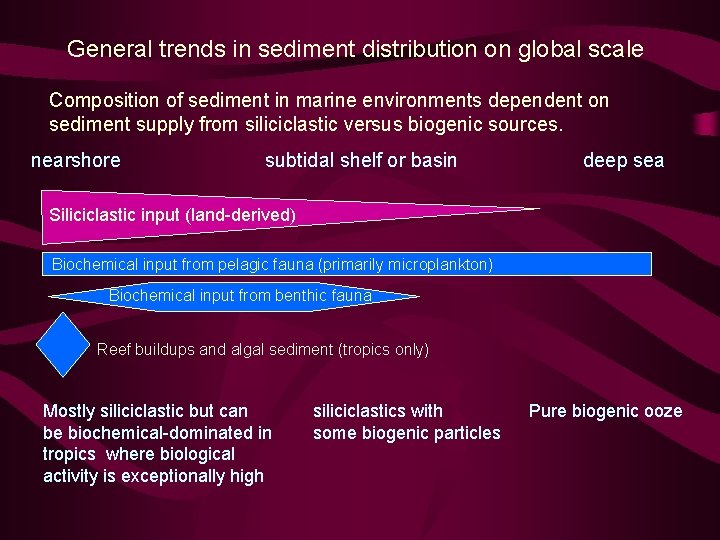 General trends in sediment distribution on global scale Composition of sediment in marine environments