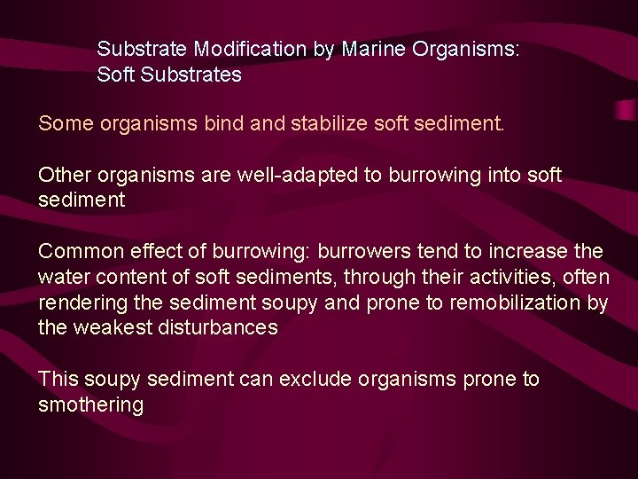 Substrate Modification by Marine Organisms: Soft Substrates Some organisms bind and stabilize soft sediment.