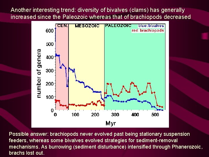 Another interesting trend: diversity of bivalves (clams) has generally increased since the Paleozoic whereas