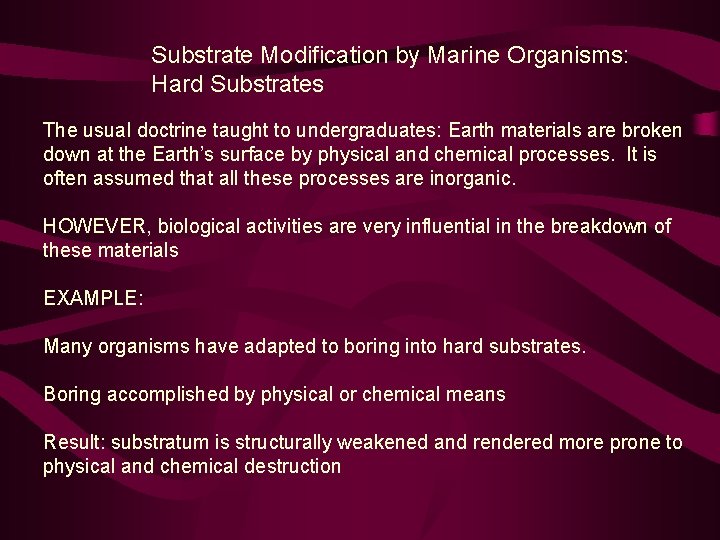 Substrate Modification by Marine Organisms: Hard Substrates The usual doctrine taught to undergraduates: Earth