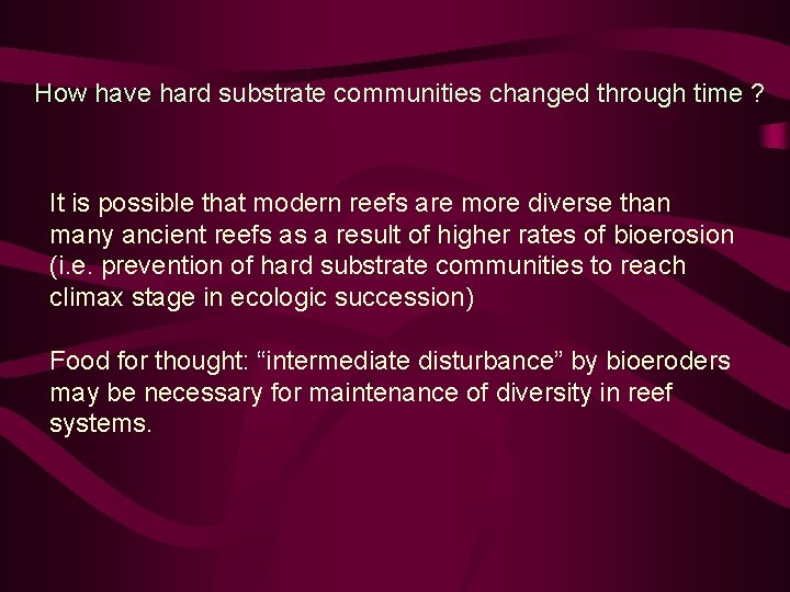 How have hard substrate communities changed through time ? It is possible that modern