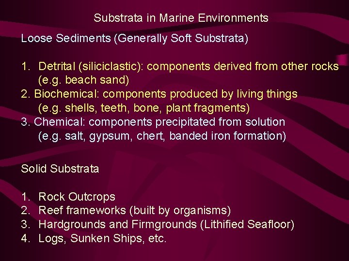 Substrata in Marine Environments Loose Sediments (Generally Soft Substrata) 1. Detrital (siliciclastic): components derived