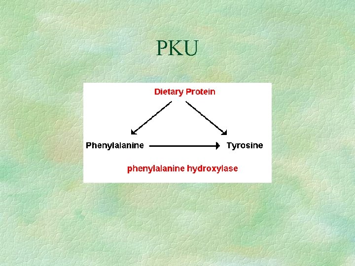 PKU 