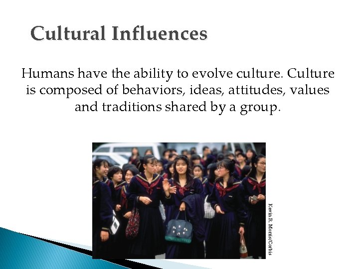 Cultural Influences Humans have the ability to evolve culture. Culture is composed of behaviors,