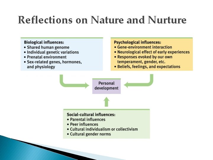 Reflections on Nature and Nurture 