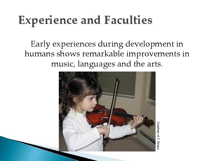 Experience and Faculties Early experiences during development in humans shows remarkable improvements in music,