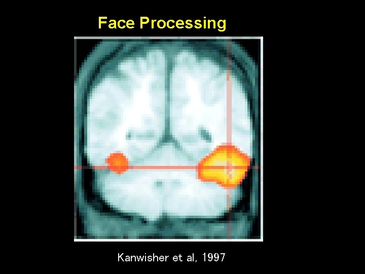 Face Processing Kanwisher et al, 1997 