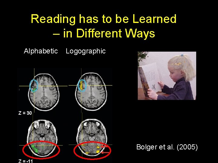 Reading has to be Learned – in Different Ways Alphabetic Logographic Bolger et al.