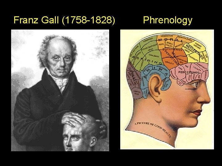 Franz Gall (1758 -1828) Phrenology 