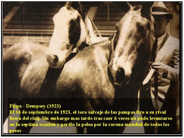  Firpo - Dempsey (1923) El 14 de septiembre de 1923, el toro salvaje