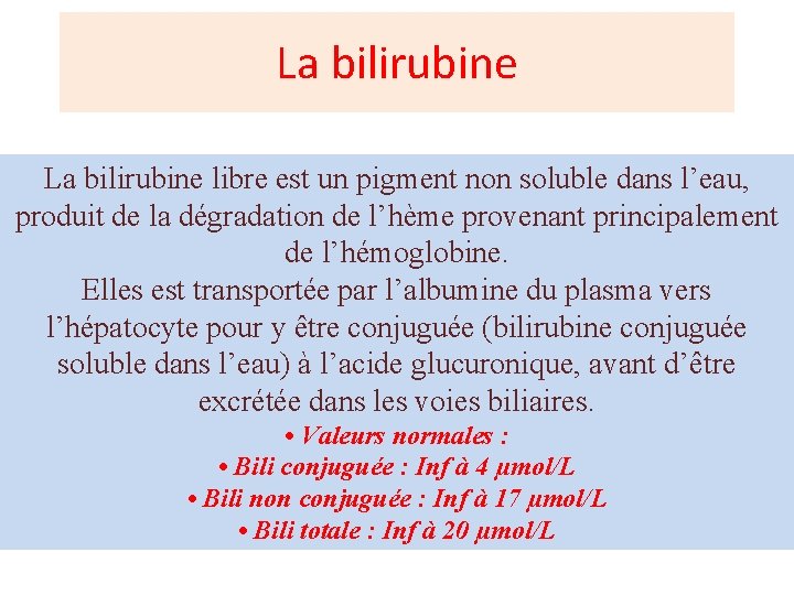 La bilirubine libre est un pigment non soluble dans l’eau, produit de la dégradation