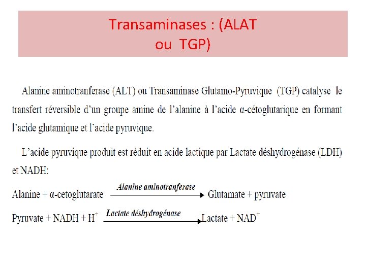 Transaminases : (ALAT ou TGP) 