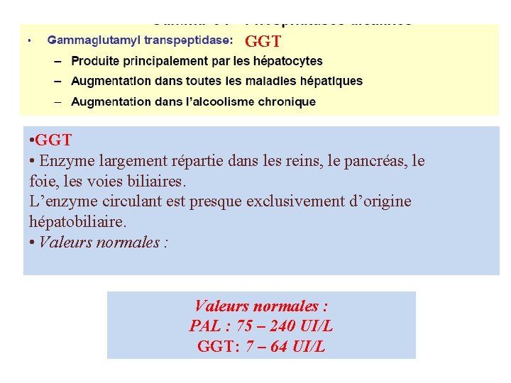 GGT • GGT • Enzyme largement répartie dans les reins, le pancréas, le foie,