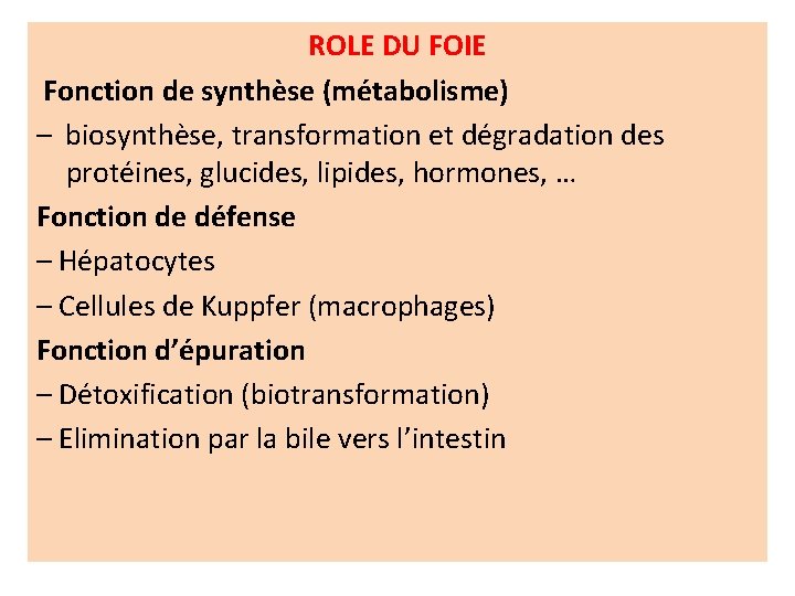 ROLE DU FOIE Fonction de synthèse (métabolisme) – biosynthèse, transformation et dégradation des protéines,