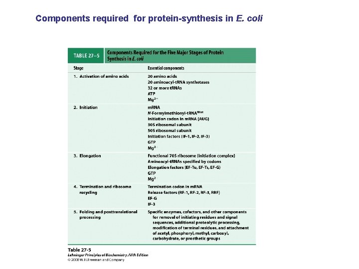 Components required for protein-synthesis in E. coli 