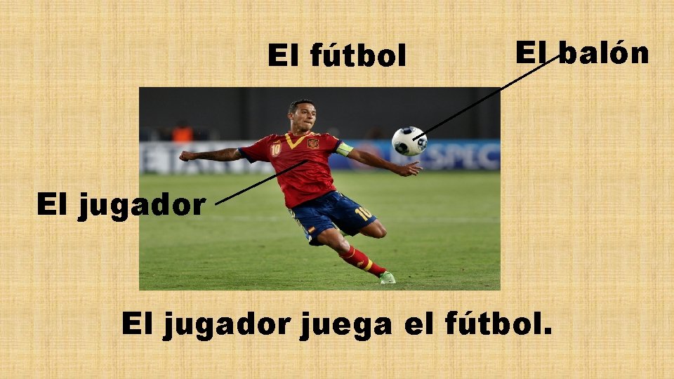 El fútbol El balón El jugador juega el fútbol. 